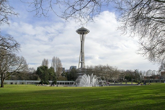 seattle space needle view from park